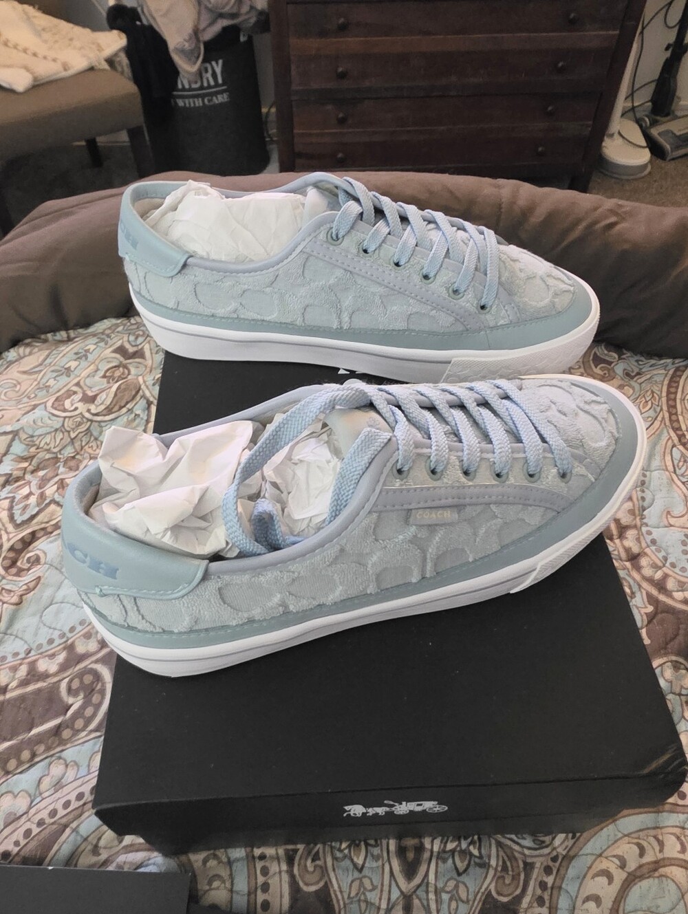 Coach Women's Light Blue Signature Lace-Up Sneakers - Picture 7 of 9